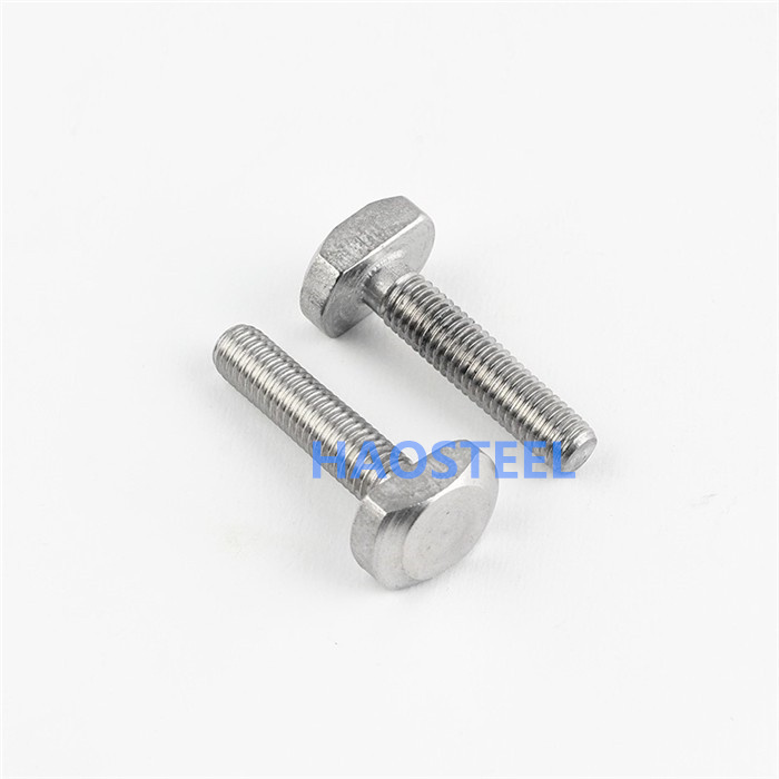 Stainless steel T-screw bolts